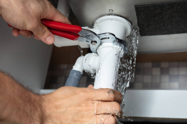 Best Local water damage restoration  in Homer, MI