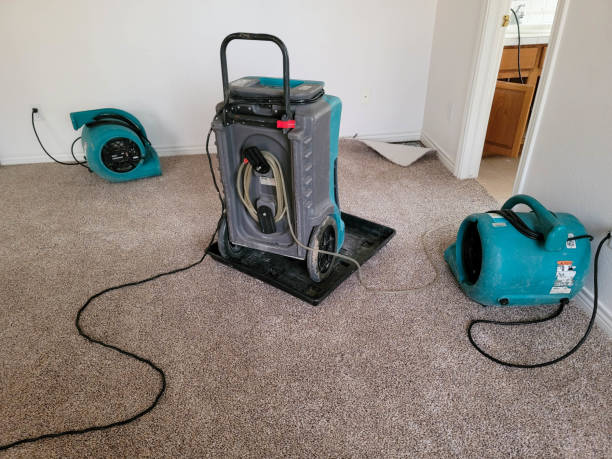 Best Water damage restoration near me  in Homer, MI