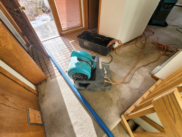 Best Residential water damage restoration  in Homer, MI