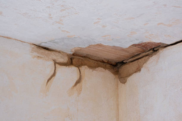 Best Commercial water damage restoration  in Homer, MI
