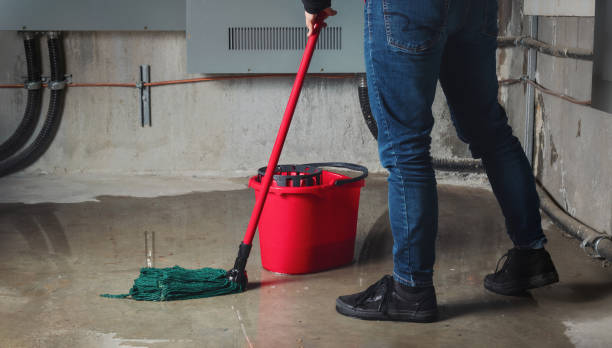 Best Flood damage cleanup  in Homer, MI
