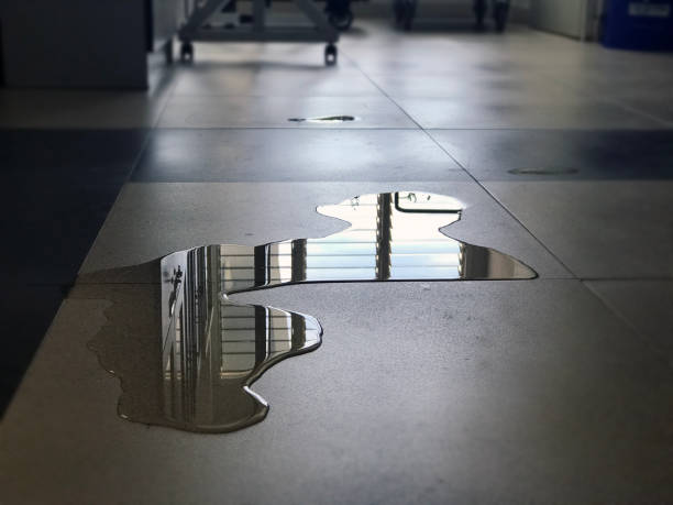 Water damage restoration experts in Homer, MI