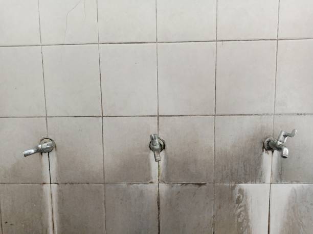 Water damage restoration process in Homer, MI