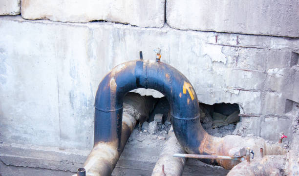 Best Fire Damage Restoration  in Homer, MI